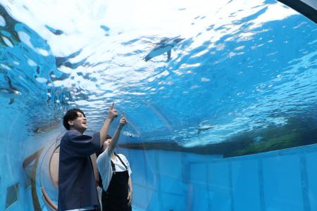 プラン一覧 ホテル シーパラダイス イン